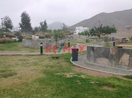  Terreno (Parcela) en venta en Asia, Lima, Asia