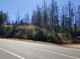  Terreno (Parcela) en venta en Ñuble, Ránquil, Itata, Ñuble
