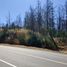  Land for sale in Ranquil, Nuble, Ranquil, Itata