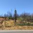  Terreno (Parcela) en venta en Ñuble, Ránquil, Itata, Ñuble