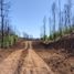  Terreno (Parcela) en venta en Ñuble, Ránquil, Itata, Ñuble