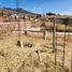  Land for sale in Del Centro, Oaxaca, Del Centro