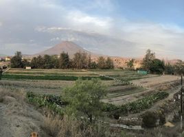  토지을(를) Arequipa에서 판매합니다., Alto Selva Alegre, Arequipa, Arequipa
