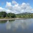  Land for sale in Ranquil, Nuble, Ranquil, Itata