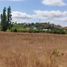  Terreno (Parcela) en venta en Ñuble, Ránquil, Itata, Ñuble