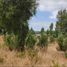  Terreno (Parcela) en venta en Ñuble, Ránquil, Itata, Ñuble
