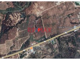  Land for sale in Tambo Grande, Piura, Tambo Grande, Piura, Piura