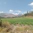  Terreno (Parcela) en venta en Apurímac, Curahuasi, Abancay, Apurímac