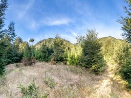  Terreno (Parcela) en venta en Araucanía, Pucón, Cautín, Araucanía