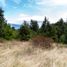  Terreno (Parcela) en venta en Araucanía, Pucón, Cautín, Araucanía