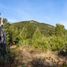  Terreno (Parcela) en venta en Araucanía, Pucón, Cautín, Araucanía