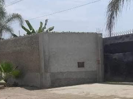  Land for sale in Pachacamac, Lima, Pachacamac