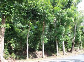  Land for sale in Rizal, Calabarzon, Antipolo City, Rizal