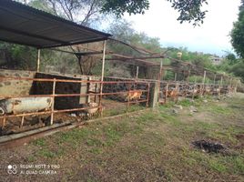  Grundstück zu verkaufen in Tlaltizapan, Morelos, Tlaltizapan