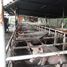  Grundstück zu verkaufen in Tlaltizapan, Morelos, Tlaltizapan