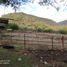  Grundstück zu verkaufen in Tlaltizapan, Morelos, Tlaltizapan