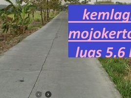  Land for sale in Mojokerto, East Jawa, Kemlagi, Mojokerto