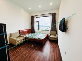 1 Phòng ngủ Chung cư for rent in Xuân Hà, Thanh Khê, Xuân Hà