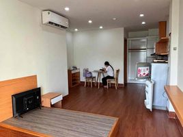 1 Phòng ngủ Chung cư for rent in Phước Ninh, Hải Châu, Phước Ninh