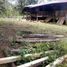  Land for sale in Molleturo, Azuay, Molleturo, Cuenca, Azuay