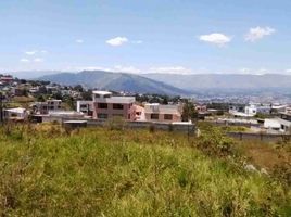  Land for sale in Conocoto, Pichincha, Conocoto
