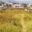  Land for sale in Conocoto, Pichincha, Conocoto