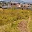  Land for sale in Conocoto, Pichincha, Conocoto