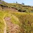  Land for sale in Conocoto, Pichincha, Conocoto