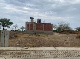  Grundstück zu verkaufen in Castilla, Piura, Castilla, Piura, Piura