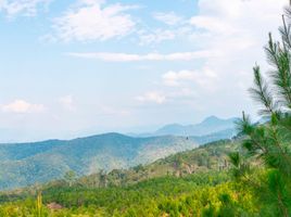  Terreno (Parcela) en venta en Chanchamayo, Junín, Chanchamayo, Chanchamayo