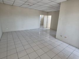 2 Habitación Apartamento en alquiler en Aeropuerto Internacional José Joaquín De Olmedo, Guayaquil, Guayaquil