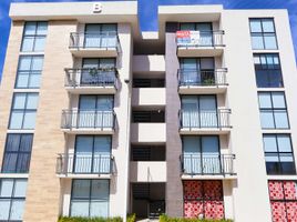 Appartement 3 chambre à louer à Puebla, Puebla, Puebla