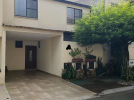 3 Bedroom House for rent in Colombia, Cali, Valle Del Cauca, Colombia