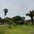  Grundstück zu verkaufen in Lurin, Lima, Lurin, Lima, Lima, Peru