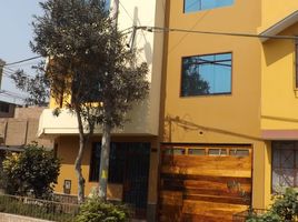 4 Habitación Villa en venta en Lima, Los Olivos, Lima, Lima