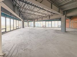 447 m² Office for rent in Monterrey, Nuevo Leon, Monterrey