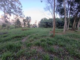  Land for sale in Piedecuesta, Santander, Piedecuesta