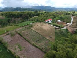  Terreno (Parcela) en venta en Ulloa, Valle Del Cauca, Ulloa