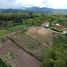  Grundstück zu verkaufen in Ulloa, Valle Del Cauca, Ulloa
