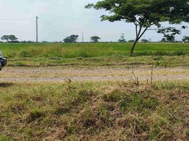  Terreno (Parcela) en venta en Samborondón, Guayas, Samborondon, Samborondón