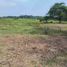  Land for sale in Samborondon, Guayas, Samborondon, Samborondon