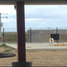  Land for sale in General Bravo, Nuevo Leon, General Bravo