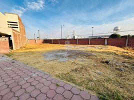  Terreno (Parcela) en venta en Salamanca, Guanajuato, Salamanca