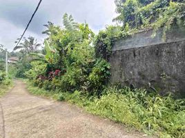  Terrain for sale in Pupuan, Tabanan, Pupuan