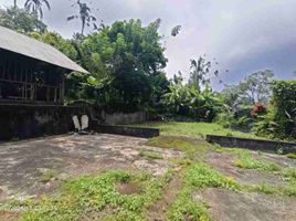  Grundstück zu verkaufen in Tabanan, Bali, Pupuan, Tabanan