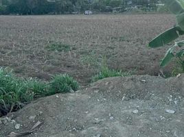  Land for sale in Liloan, Central Visayas, Liloan