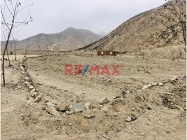  Land for sale in Pachacamac, Lima, Pachacamac