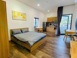 1 Bedroom Apartment for rent in An Hai Bac, Da Nang, An Hai Bac