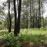  Terreno (Parcela) en venta en Mazamitla, Jalisco, Mazamitla