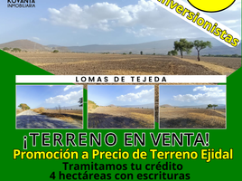 Terrain à vendre à Tlajomulco De Zuniga, Jalisco, Tlajomulco De Zuniga